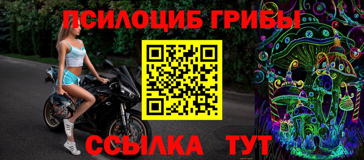Псилоцибиновые грибы мухоморы  Вход с VPN  как найти закладки  Кольчугино  Псилоцибиновые грибы прущие грибы 